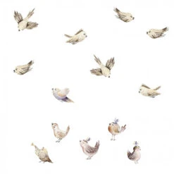 Set De 13 Stickers Oisillons