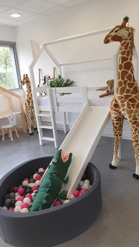 Jérémy L'Alligator 7 Jérémy L'Alligator – Image 5