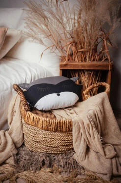 Coussin Raton Laveur