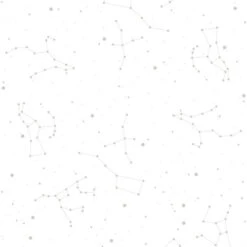 Papier Peint Cosmos Blanc Et Gris