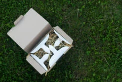 Envol D'oiseaux Céramique Blanc - Art -GribouilleTa Chambre Soldes Magasin file 3173